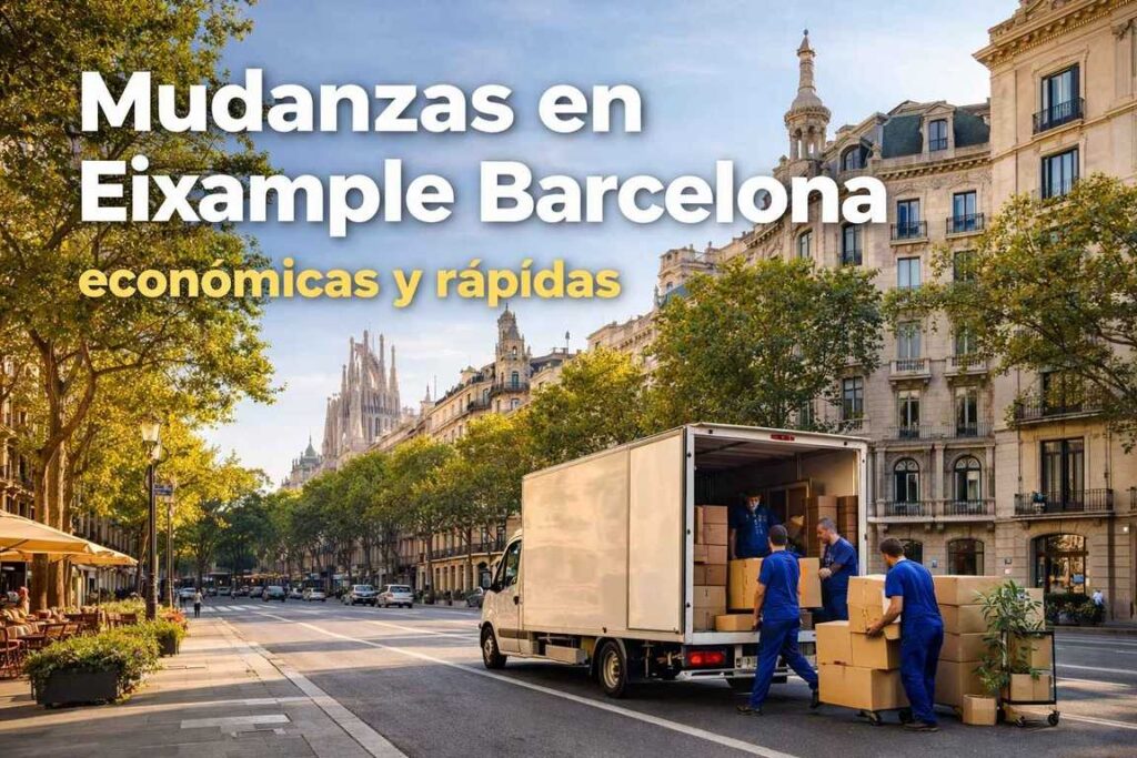 equipo de mudanzas buscaTrans cargando cajas